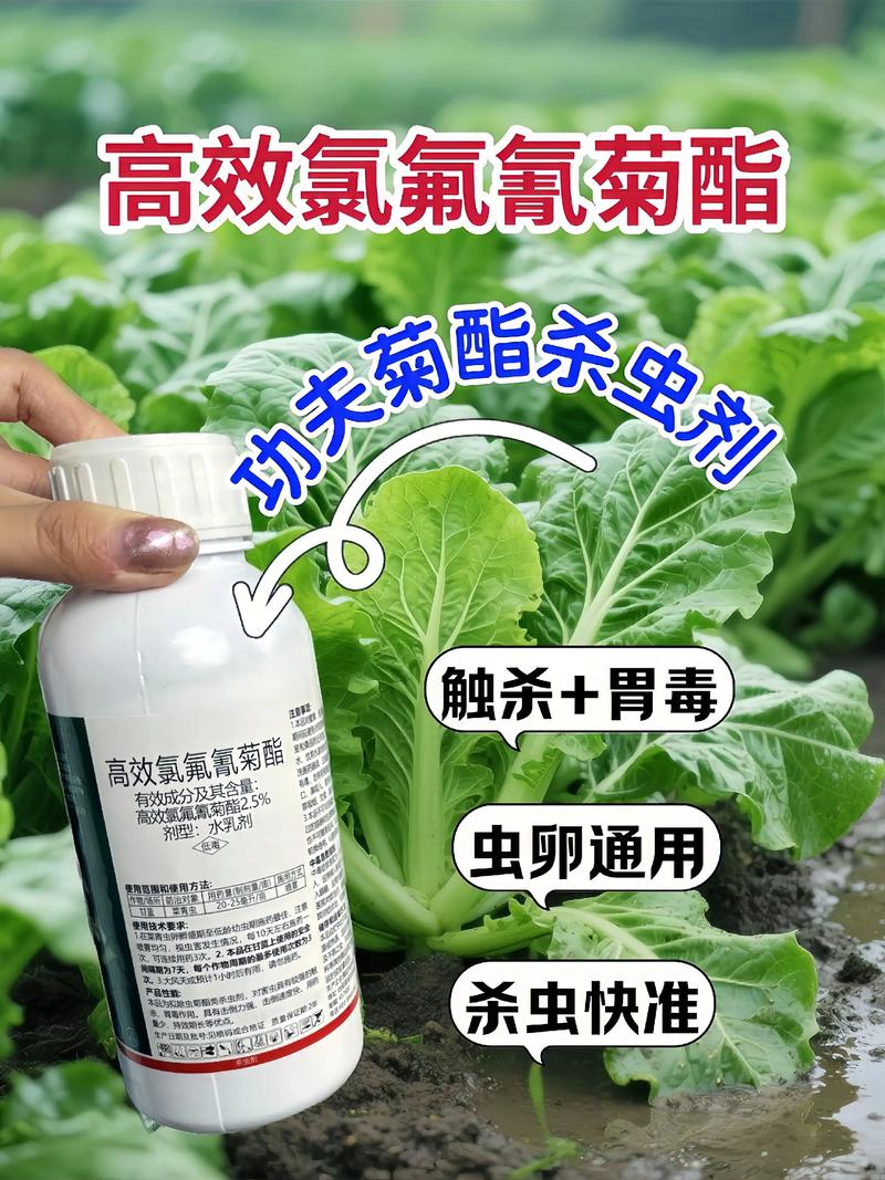 渝中代生中心:农药对供卵代生妈妈的危害